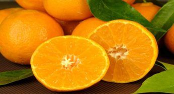 Alimentazione, i mandarini fanno ingrassare? Finalmente la verità