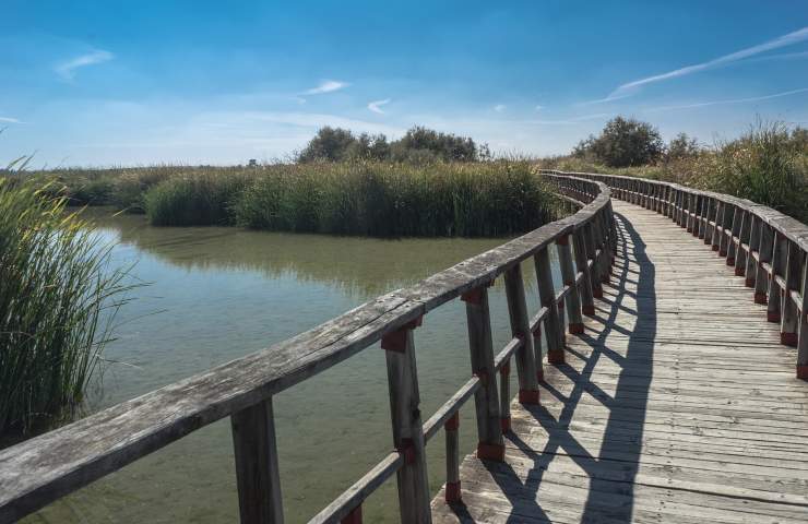 passeggiare corsi acqua benessere