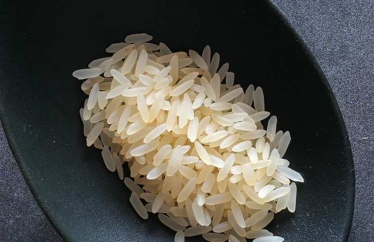 Dieta riso