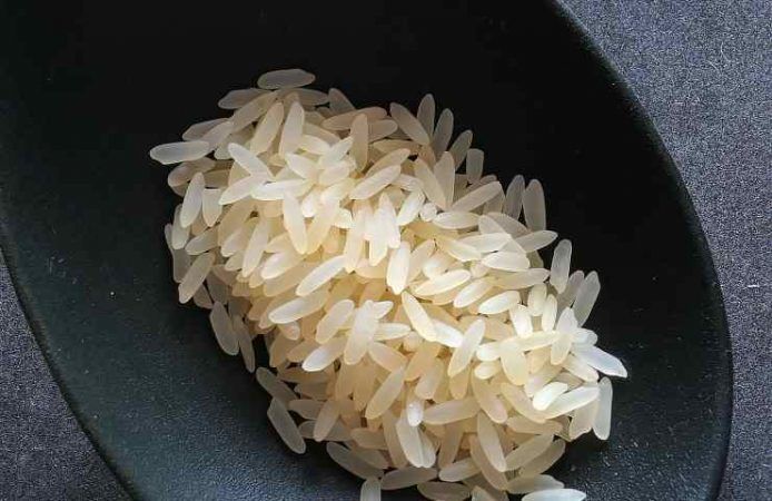 riso bianco e integrale
